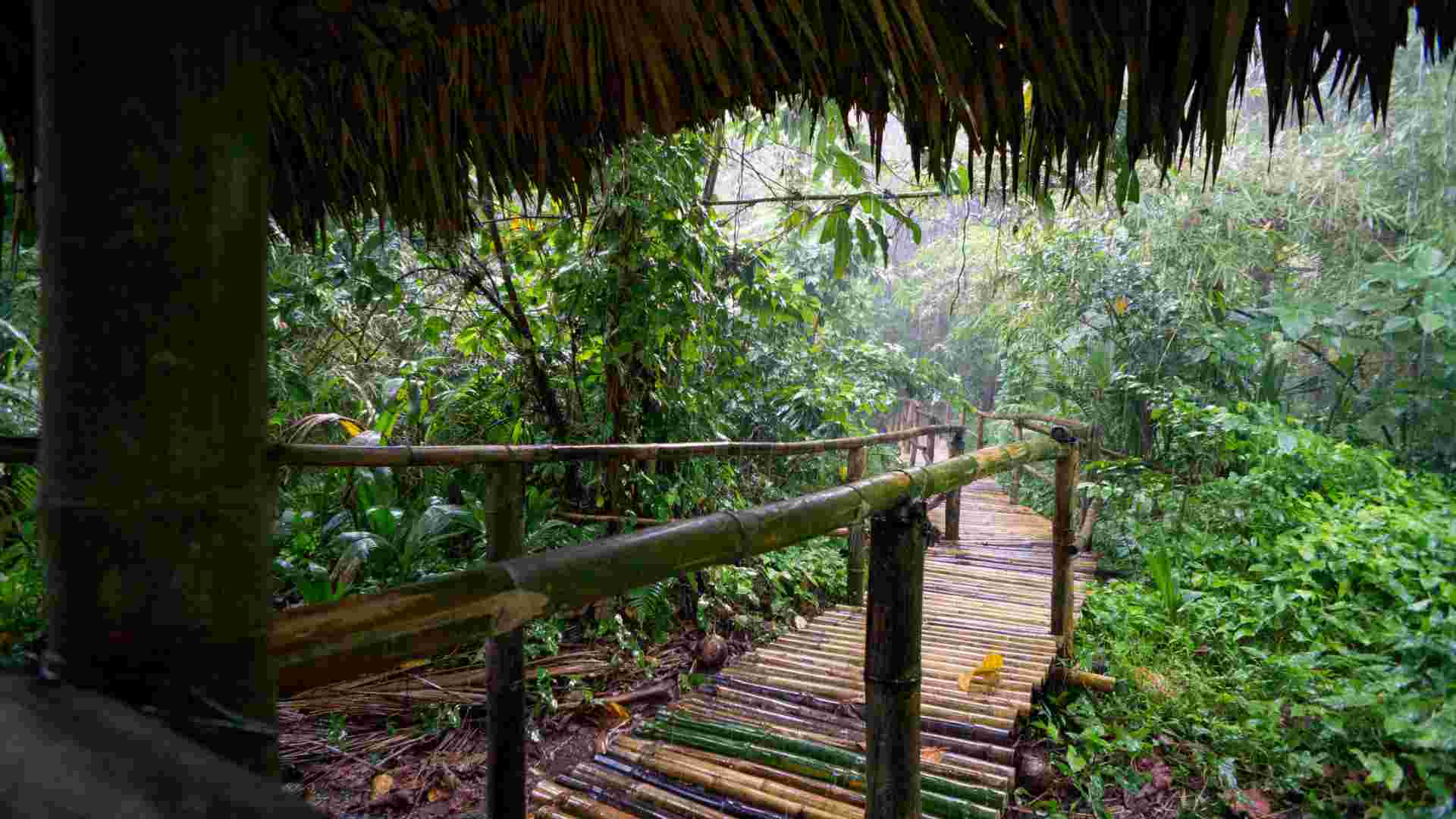 Wine tasting in vineyard